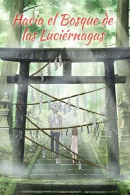 Hacia el Bosque de las Luciérnagas